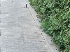 -长春市南湖公园