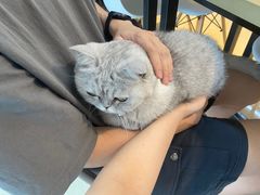 -Oasis绿洲银饰珍珠手作diy(壹方城店)