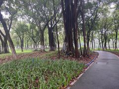 -海珠湖公园