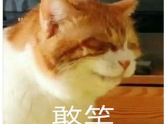 -么肆烤肉(蓝山名邸店)