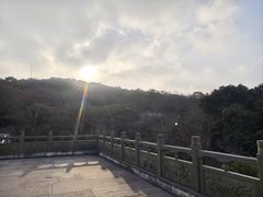 -普陀山风景区-佛顶山