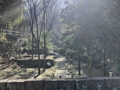 -仙霞关景区