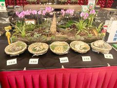 -豪廷轩中餐厅·特色云南菜(温德姆至尊豪廷大酒店)