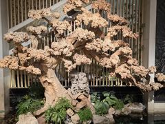 -浣花锦绣(杜甫草堂店)