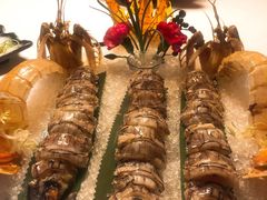 -三号黄浦会Canton Table