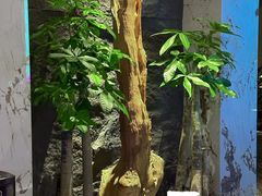 -观宴·品质赣菜(高新大道店)