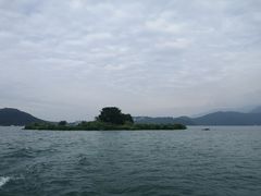 -金盆阿嬷香菇茶叶蛋(玄光店)