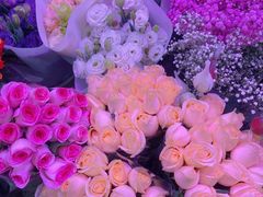 -花鸟鱼虫鲜花绿植市场(玉泉路店)