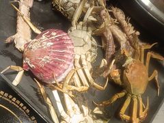 -乔哥铭洋海鲜自助(皇城恒隆广场店)