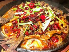 -老板恋上鱼(高新万达店)