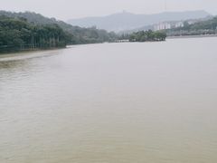 -惠州西湖丰渚园