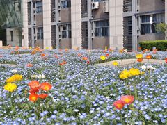 -浙江大学(紫金港校区)