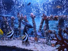 -太平洋海底世界