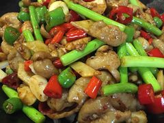 -大鸭梨烤鸭店(古城店)