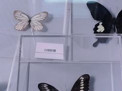 -杭州西湖博物馆总馆