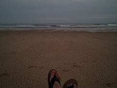 -林记海鲜排档·十年海鲜地标