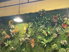 -味之绝热血美蛙鱼火锅(中坝店)