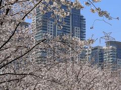 -西北湖绿化广场