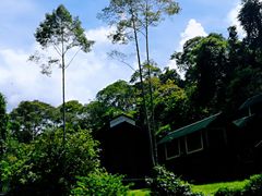 -乌鲁淡布隆国家公园