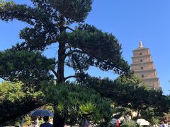 -大慈恩寺(大雁塔)
