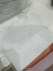 -苗方清颜专业祛痘·皮肤管理