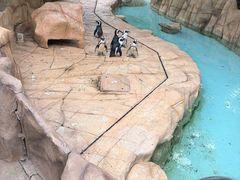 -宁波野生动物园