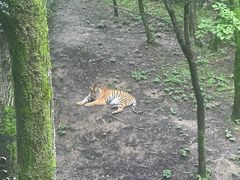 -哈尔滨北方森林动物园