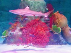 -沈阳海洋探索中心