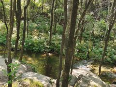-玉渡山自然风景区