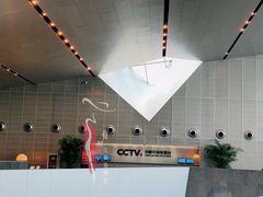 -中央广播电视总台(光华路办公区)