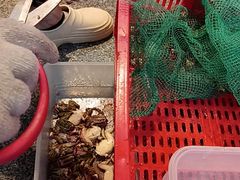 -可可大虾武汉土菜大排档(万松园1店)