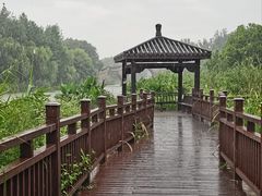 -绍兴镜湖国家城市湿地公园