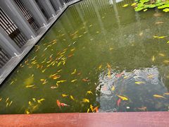 -三亚太阳湾柏悦酒店