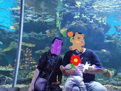 -华夏文旅海洋公园