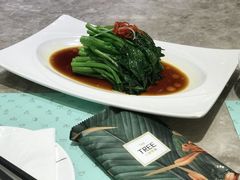 -大树餐厅(红旗街万达店)