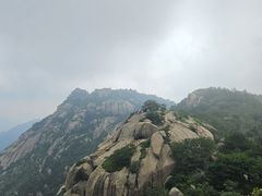 -鲁山国家森林公园