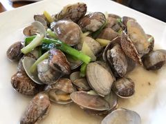 -前小桔亲子创意农场·草莓采摘·露营烧烤