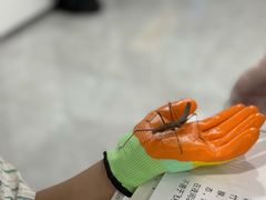 -上海昆虫博物馆