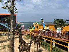 -西霞口神雕山野生动物世界