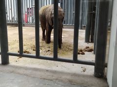 -鄂尔多斯野生动物园