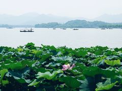 -湖畔居茶楼(湖滨店)