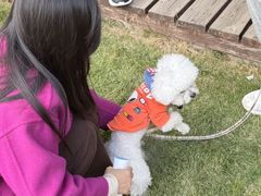 -上海神旺大酒店