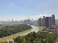 -荔枝公园(福田区)