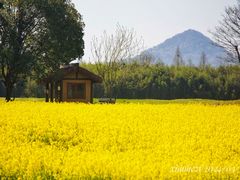 -良渚古城遗址公园