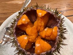 -红叶日料·放题·海胆·定食(星海店)