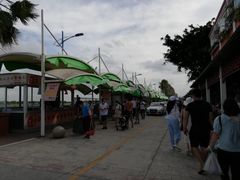 -南沙十九涌渔人码头-南门