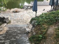 -万柳阁小馆·花园餐厅(龙潭湖店)