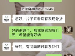 -爱妮康宠物医院·干细胞免疫细胞·肿瘤·心脏(张江店)