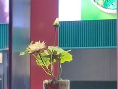 -肆月河豚·新淮扬菜·烤鸭(中关村店)