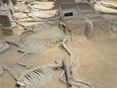 -洛阳周王城天子驾六博物馆